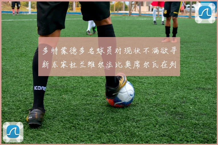 多特蒙德多名球员对现状不满欲寻新东家杜兰维尔法比奥席尔瓦在列