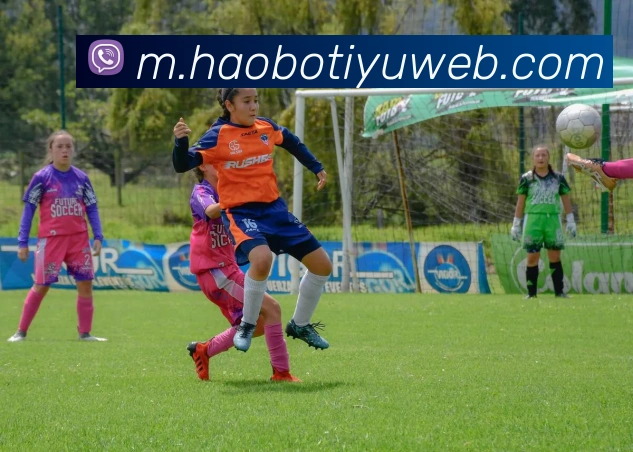 App Interface Preview