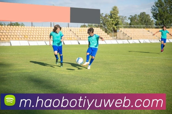 好博体育APP 封面图